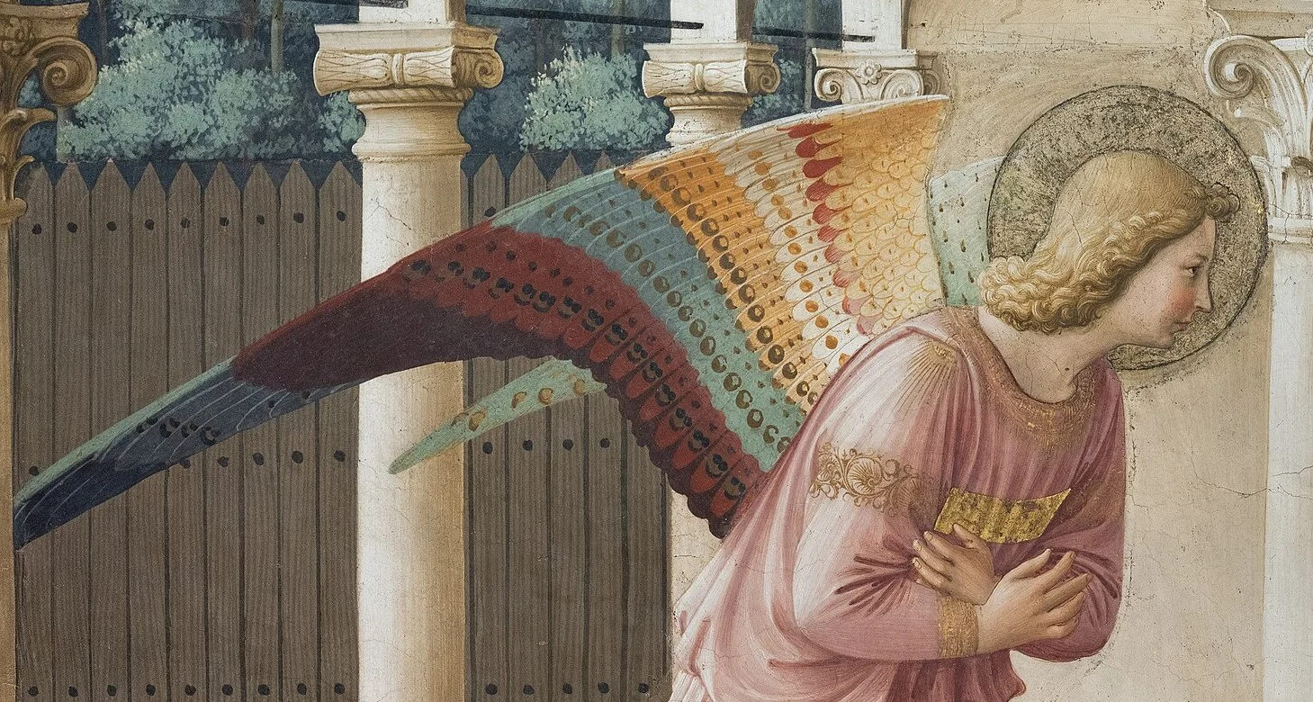 The wings are the only luxury in the picture: bands of colour like a rainbow.