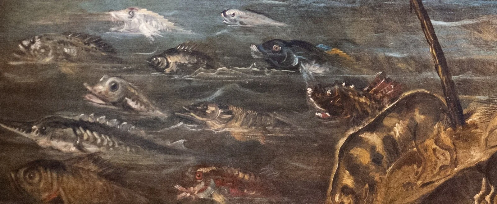 The fish swim in the same direction in which God flies. Tintoretto painted them one by one, each a different kind.